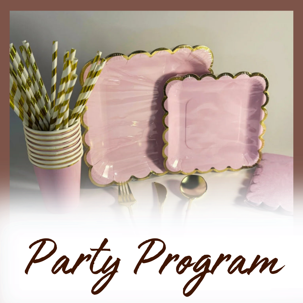 party program za rodjendane