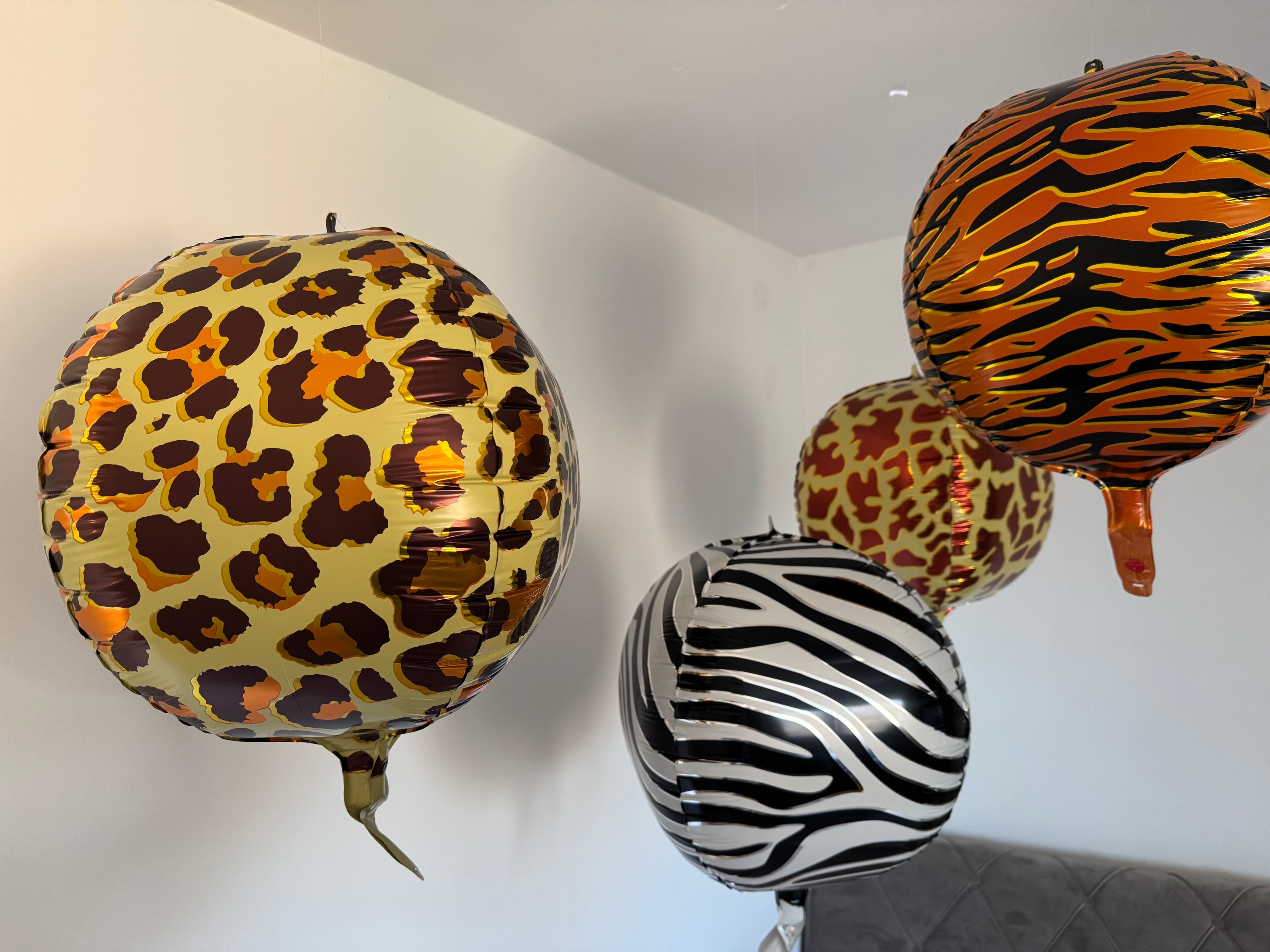 Orbz Zebrasti 56cm - Prestige