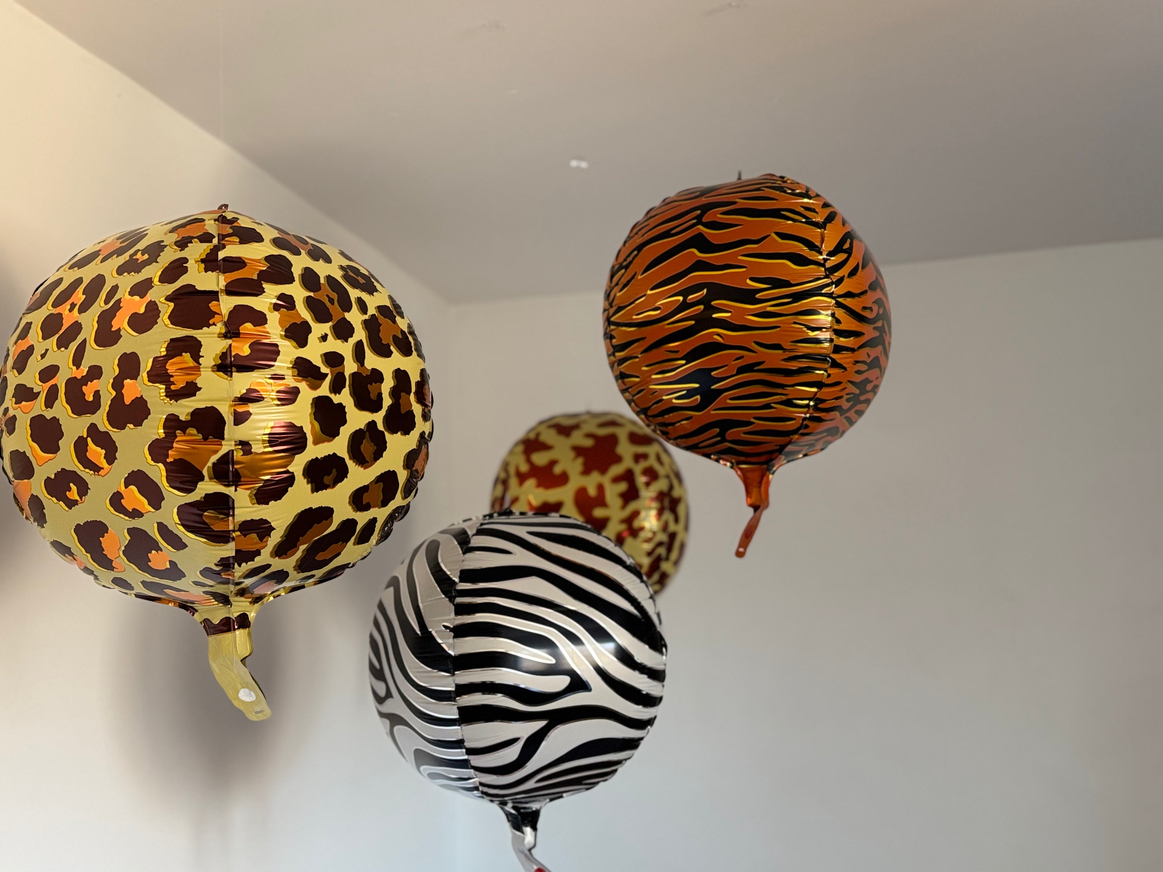 Orbz Zebrasti 56cm - Prestige